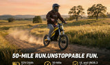 Heybike Villain