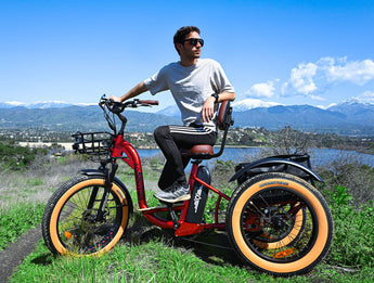 Mercedes-AMG PETRONAS F1® Team City Edition 750 Electric Bike