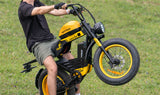 HappyRun G100 Pro 6000W Electric Bike Dual Battery