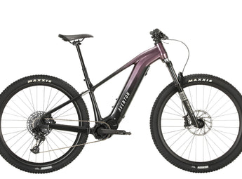 Ramblas Ebike
