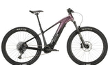 Ramblas Ebike