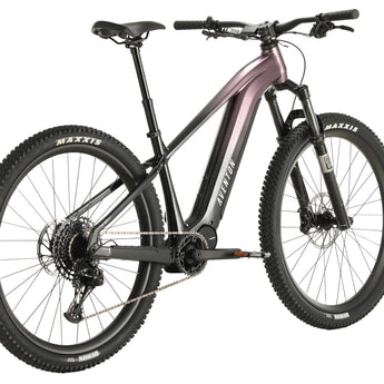 Ramblas Ebike