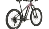 Ramblas Ebike