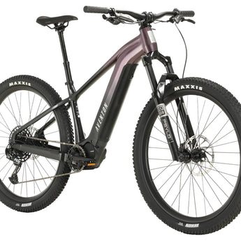 Ramblas Ebike