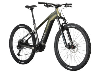 Ramblas Ebike