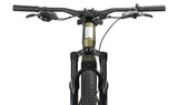 Ramblas Ebike