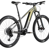 Ramblas Ebike