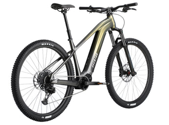 Ramblas Ebike
