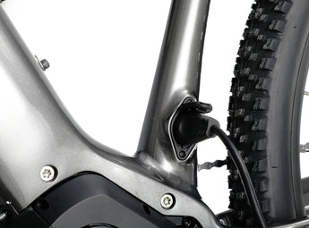 Ramblas Ebike