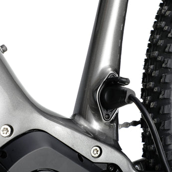 Ramblas Ebike