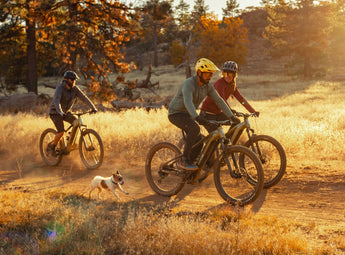 Ramblas Ebike