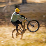 Ramblas Ebike