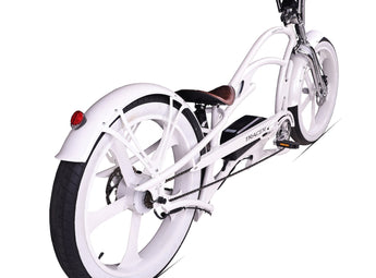 Raptor Pro DS 800W Stretch Cruiser Ebike